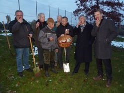 Rosenapfelbaum-Pflanzung